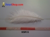 bulu kasuari medium KSM 6 - feather medium.jpg